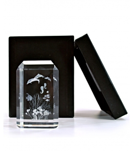 Acquario 3D in cristallo, Crystal Impressions