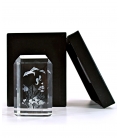 Acquario 3D in cristallo, Crystal Impressions