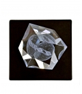 Pesci 3D in cristallo, Crystal Impressions